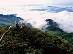 -大围山国家森林公园