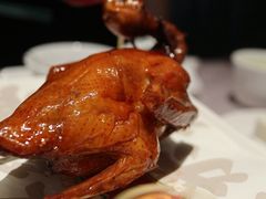 -大鸽饭(体育西路店)