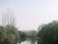 -溱湖国家湿地公园