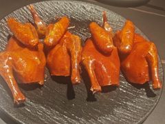 -三强鸽子(中原路店)