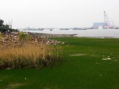 -上海长江河口科技馆