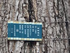 -苏州文庙(姑苏区)