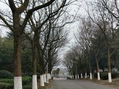 -白塘生态植物园