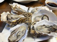 -鲁前海沿儿