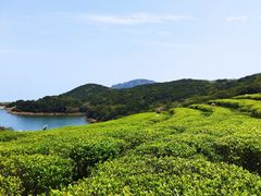 -嵛山岛