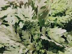 -蜀九香火锅(彩虹店)