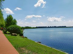 -丁香湖公园