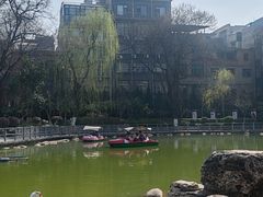 -莲湖公园