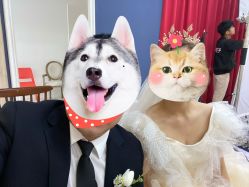 点击看大图 -太郎花子婚纱摄影艺术中心
