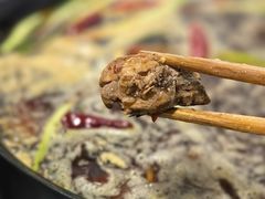 -石灰市毛记烧鸡公(解放碑店)