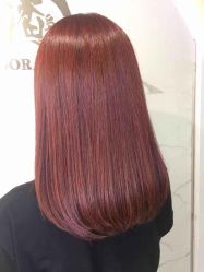 -潘多拉Hairsalon