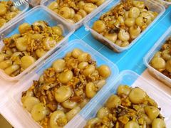 -梅州天地人花园酒店(梅县人民广场店)