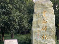 -灵谷景区