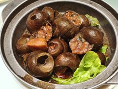 特色田螺塞肉煲-瑞福园联谊餐室(茂名南路店)