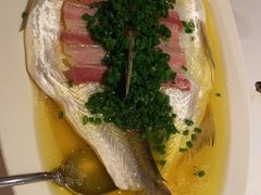 葱油蒸白水鱼-玫瑰厅上海菜(兴国路店)