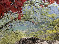 -秦岭终南山世界地质公园翠华山景区