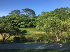 -东莞植物园