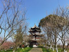 -上海海湾国家森林公园