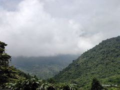-呀诺达热带雨林