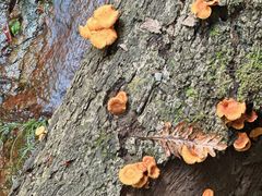 -东南悬空寺方广岩