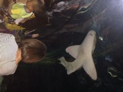 iphone_upload_pic-郑州海洋馆