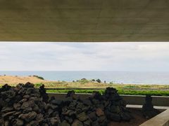 -涉地可支