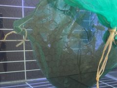 -再回头私房菜·老南京菜