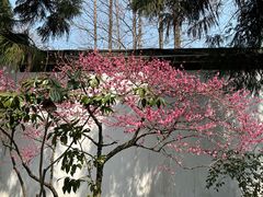-岳王庙