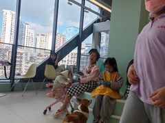 -怪兽屋·羊驼·猫咖·狗咖(俊华广场店)