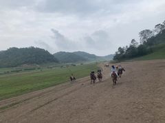 -关山草原