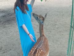 -北京麋鹿生态实验中心