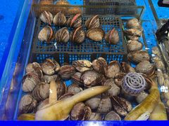 -鲜得莱渔港·小平岛海胆馆(七贤岭店)