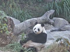 -宁波野生动物园