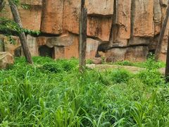-沈阳森林动物园