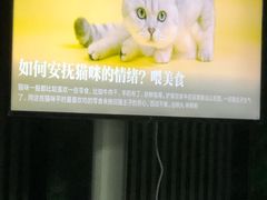 -武钢体育中心恒温游泳馆
