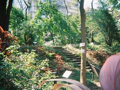 -香港大学