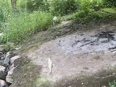 -宁波野生动物园