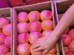-西北农副产品中心批发市场(广安路店)