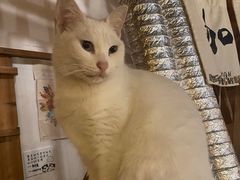 -新月集庭院咖啡馆(老邮局店)