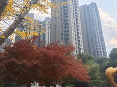 -天主教圣弥额尔堂