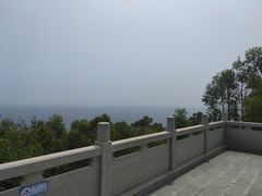 -广东惠东海龟国家级自然保护区