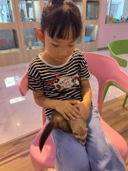 -Moni星球萌宠·小马宝莉·灵蛇·高端高阶全萌宠互动体验俱乐部(红豆国际广场店)