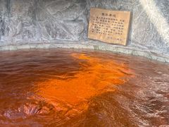 -爱江山温泉(凌奥店)