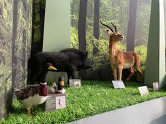 -房山世界地质公园博物馆