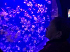 -海合安青岛极地海洋公园