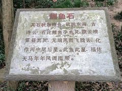 -上海佘山国家森林公园天马山园