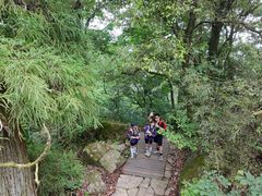 -天目山大树王景区