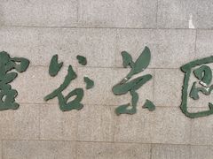 -灵谷景区