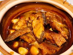 沙窝黄鱼煲-金鼎轩(亚运村店)