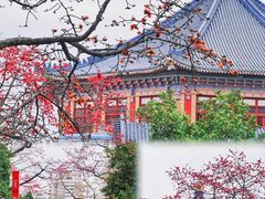-广州中山纪念堂